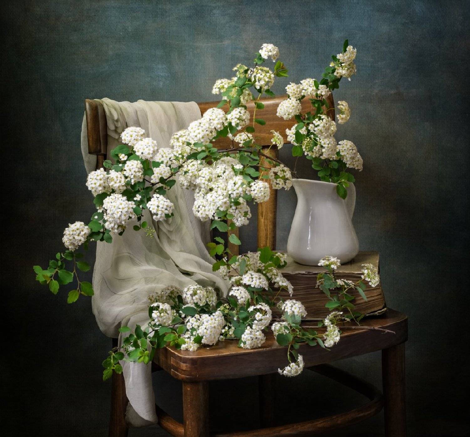 натюрморт, цветы, спирея, Оля