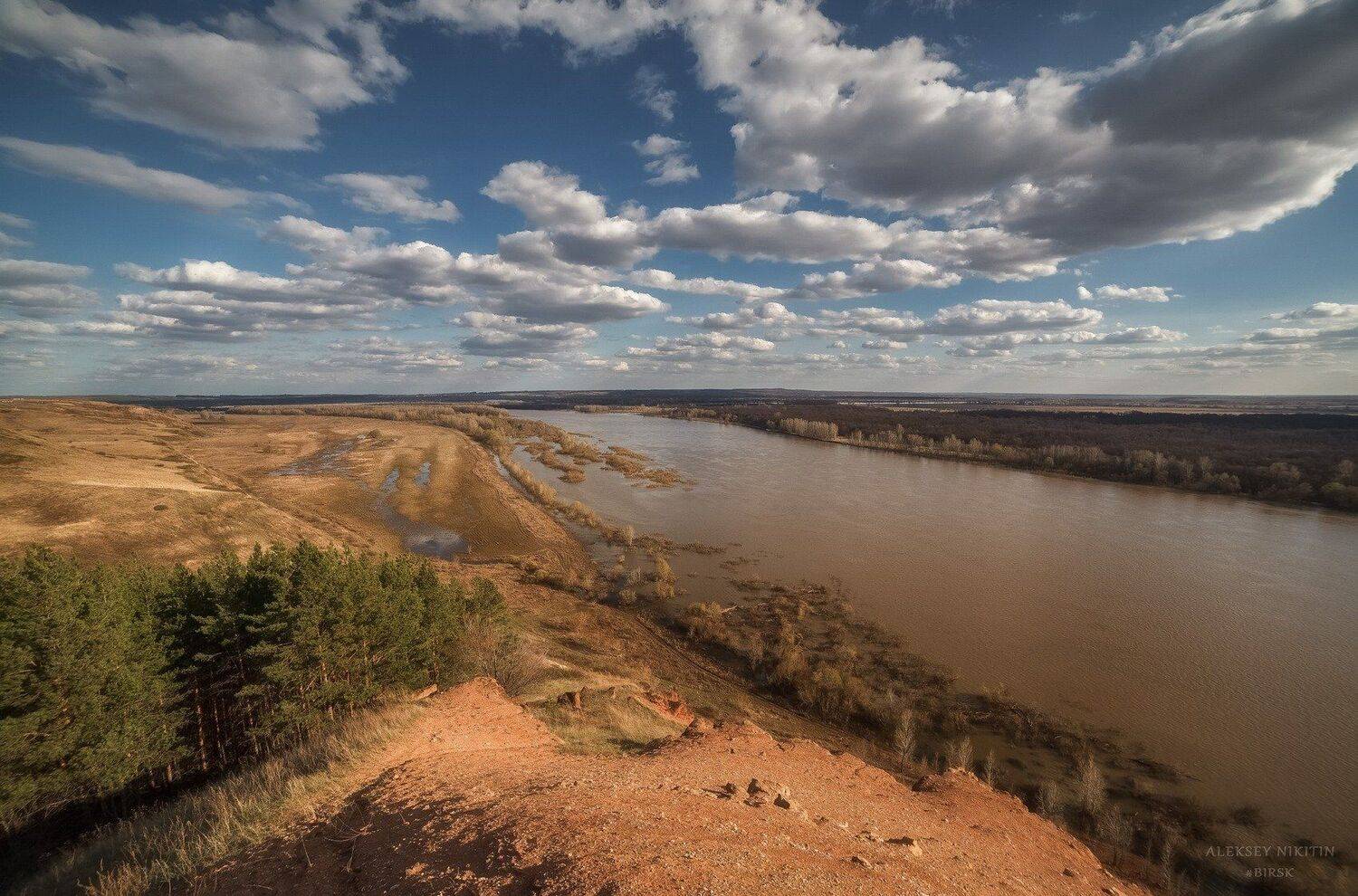 , Алексей Никитин