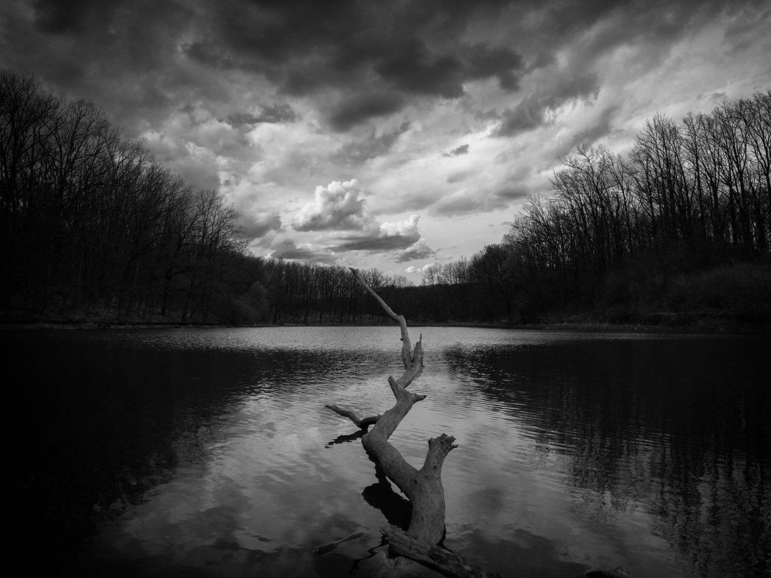 , Чистаев Александр