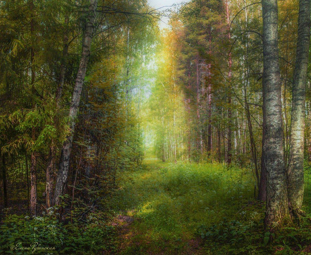 , Елена Рубинская