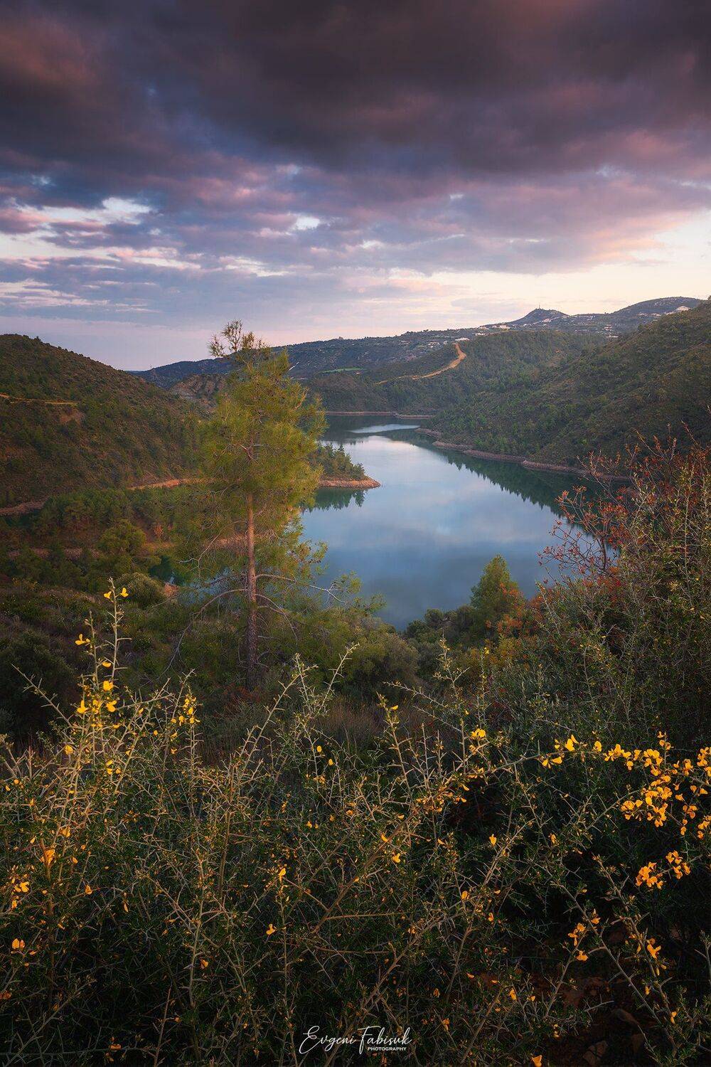 , Evgeni Fabis