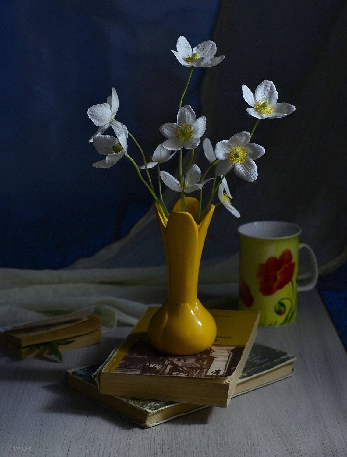 натюрморт,композиция,свет,весна,букет, Инаида