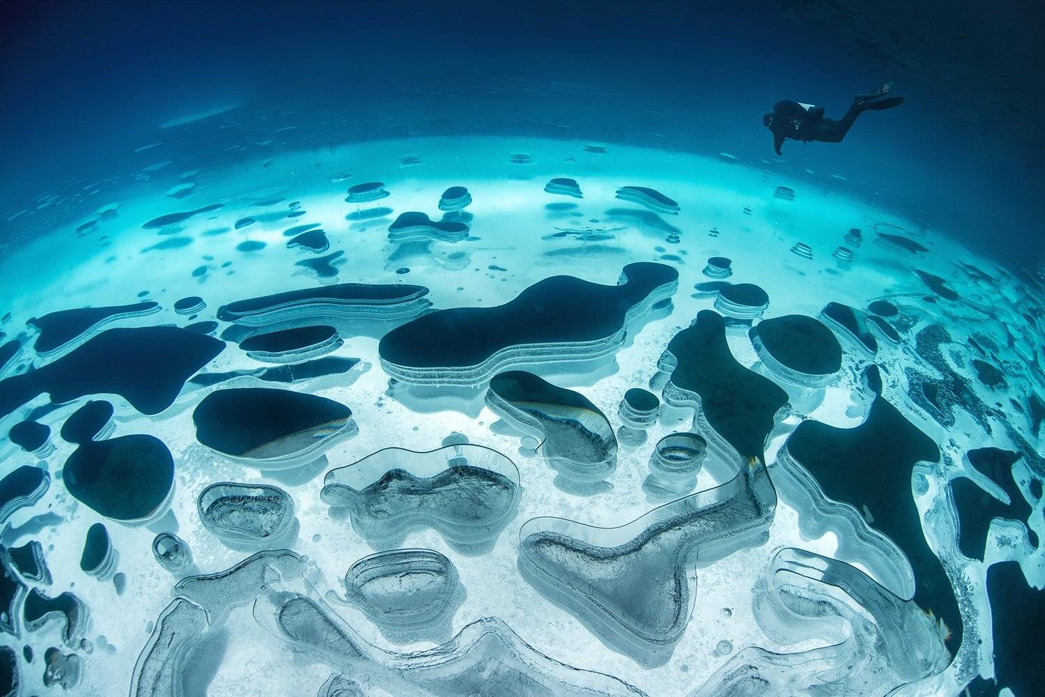 дайвинг, айс-дайвинг, лёд, diving, ice-diving, ice, ural, урал, Малафеева Елена