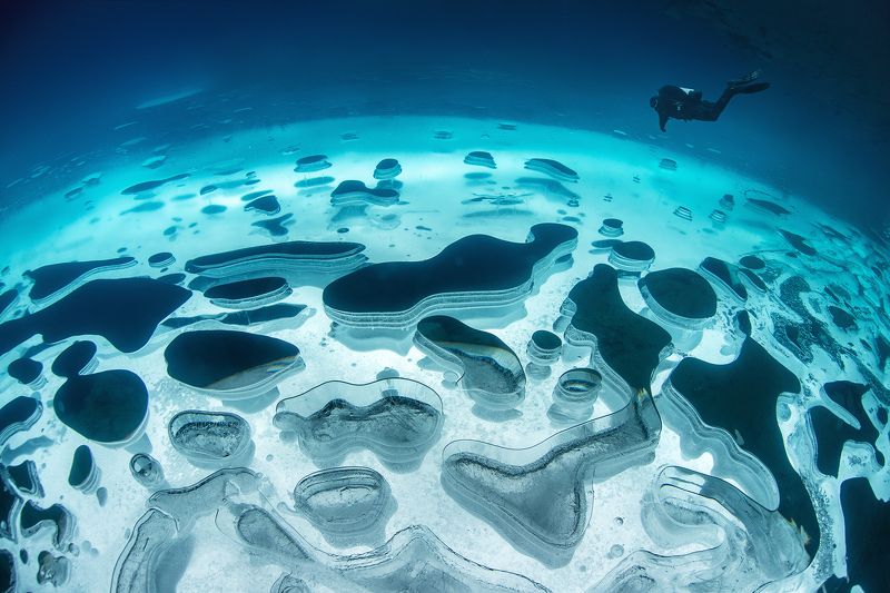 дайвинг, айс-дайвинг, лёд, diving, ice-diving, ice, ural, урал Ледяная планета. фото превью