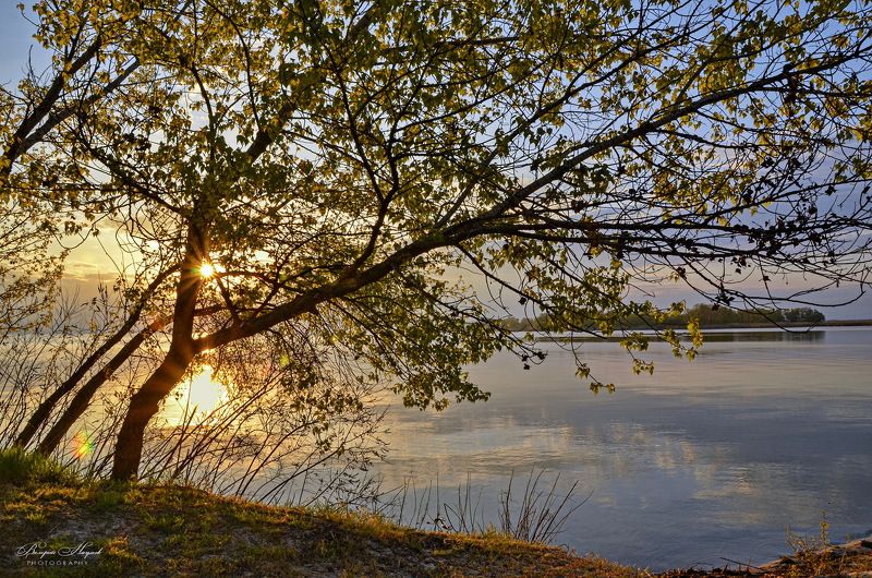 утро, май, рассвет, восход, небо, облака, отражение, тишина, первый листочки Утро Первомая фото превью