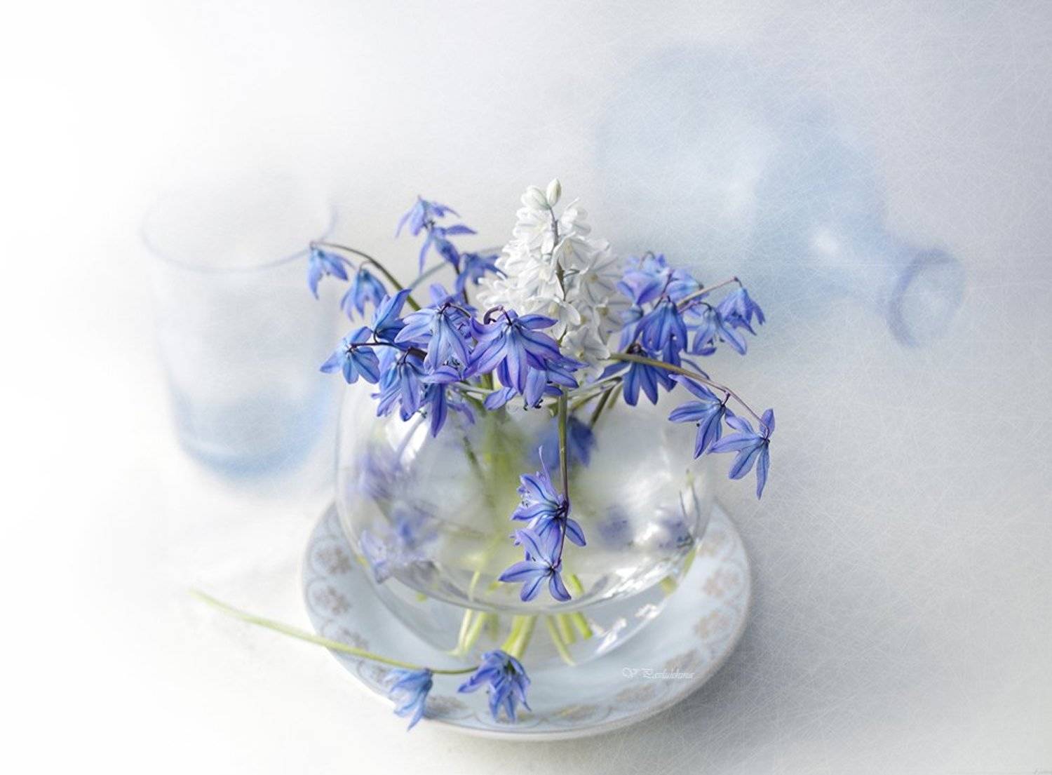 натюрморт ,цветы ,весна ,подснежники ,вера павлухина,, Вера  Павлухина