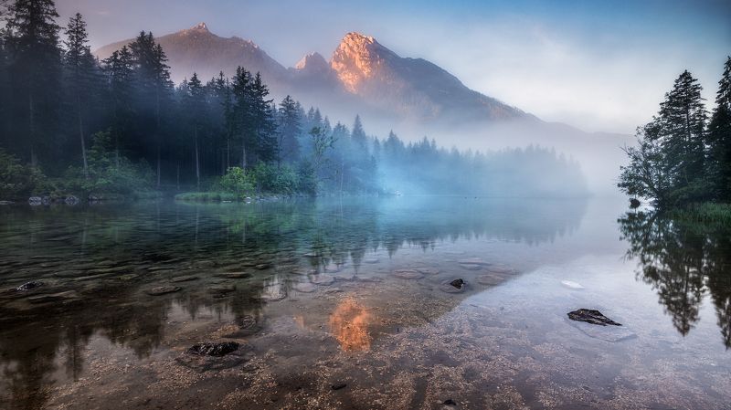 MAGIC FOREST фото превью