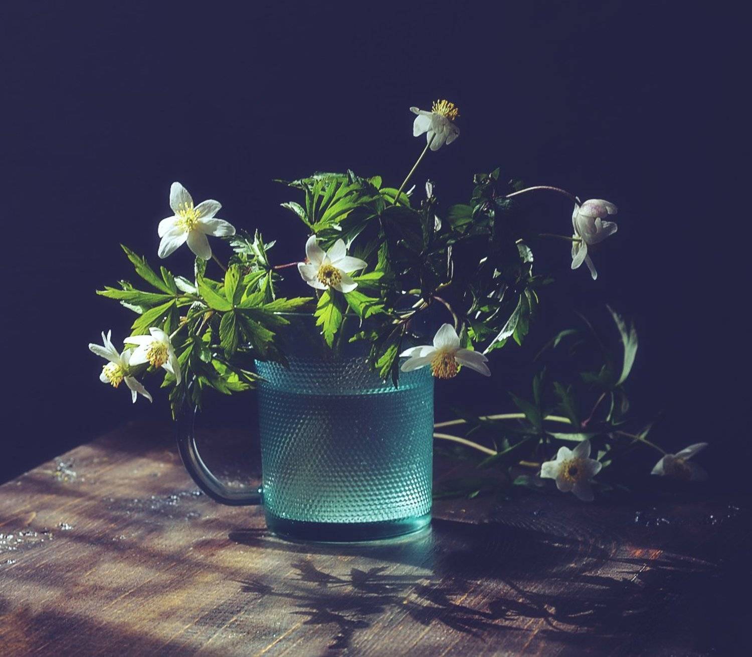 натюрморт,весна,цветы,ветреница,анемона, Наталия К