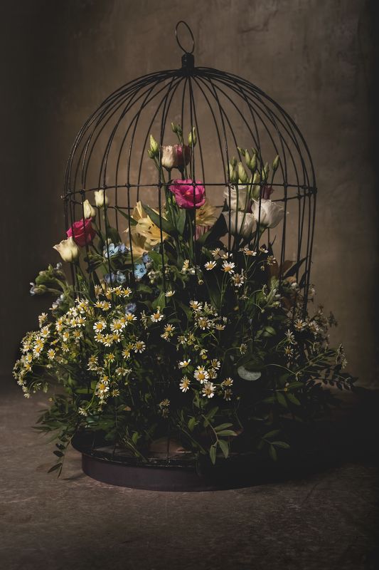 Под запретом фото превью