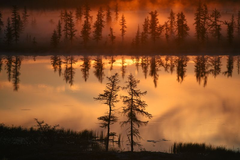 nikon, россия, пейзаж Лесное свидание фото превью