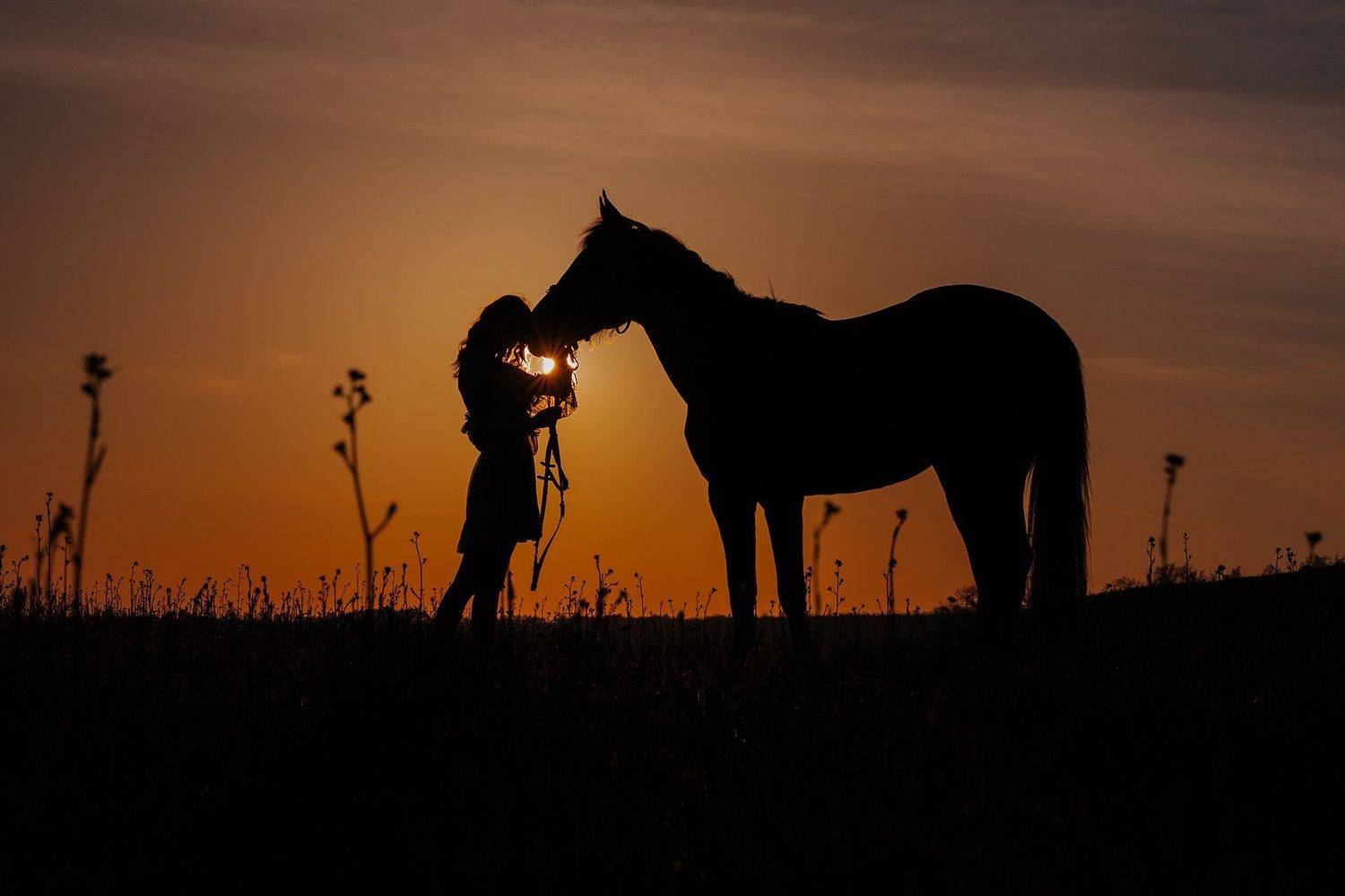 силуэтная фото, Максим Гринченко