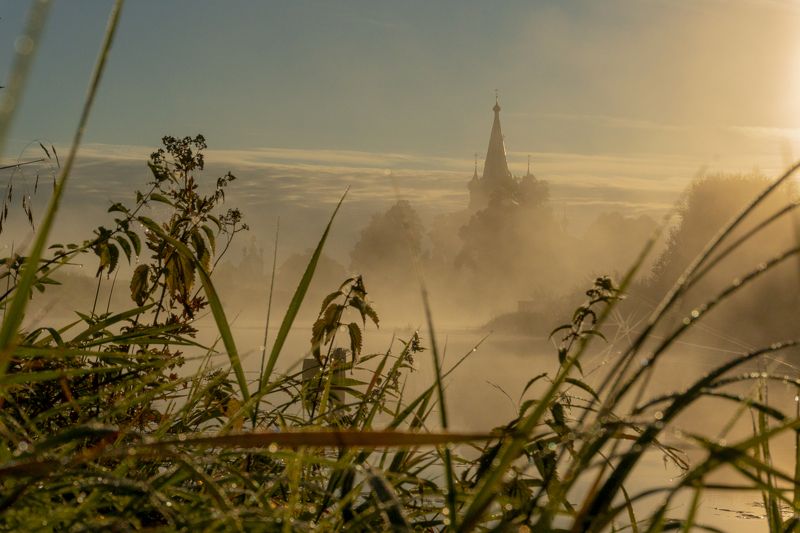 193 фото превью