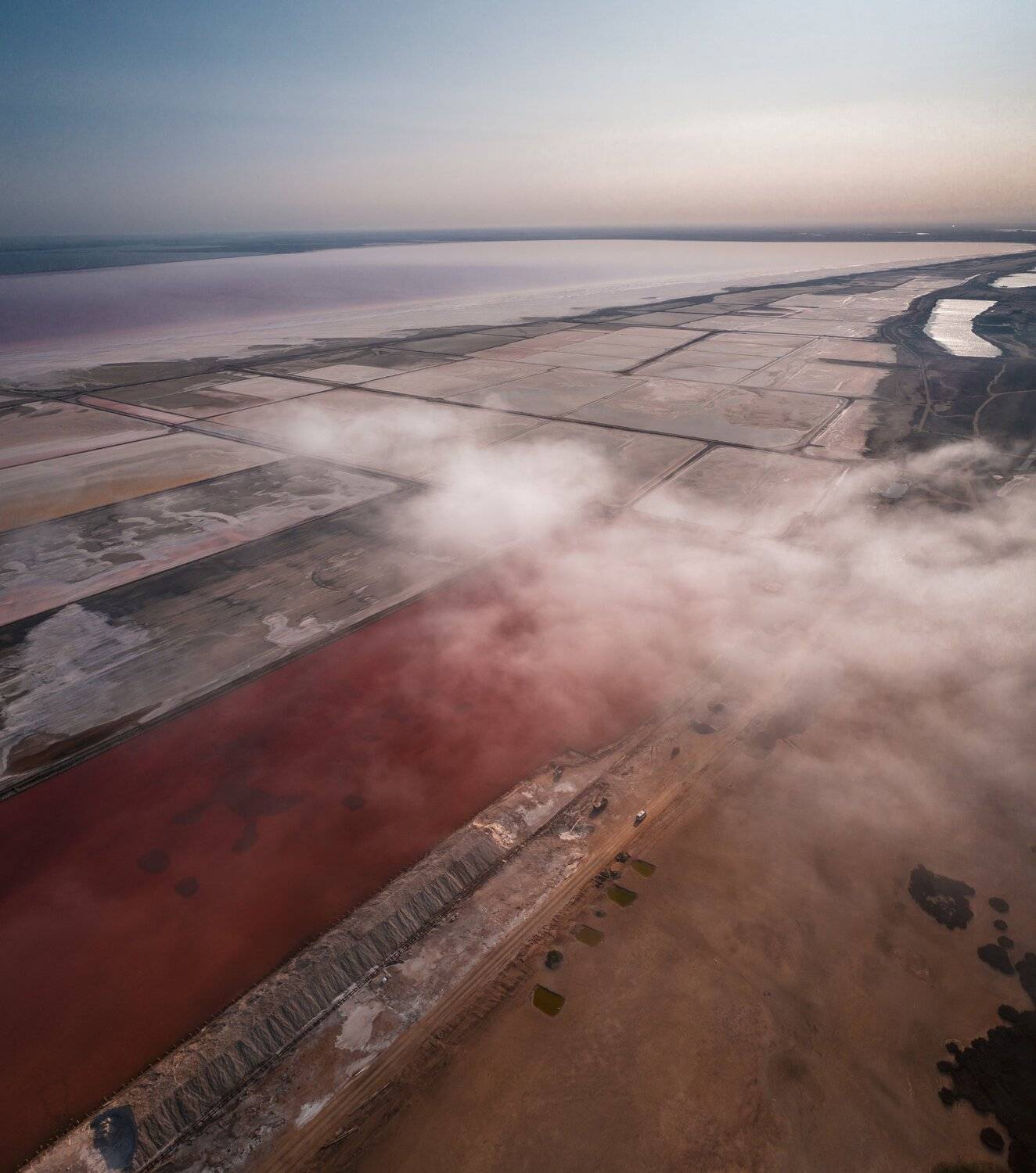 , Александр Шинкаревский