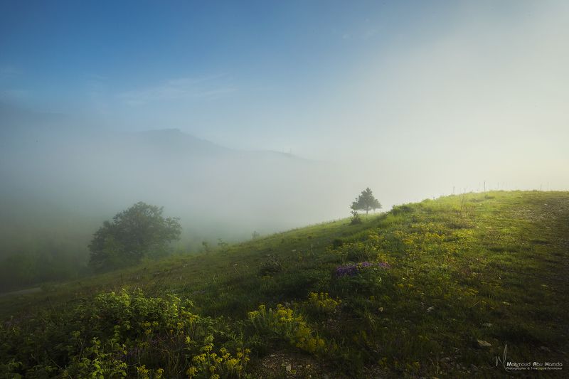 magic land Magic Land фото превью