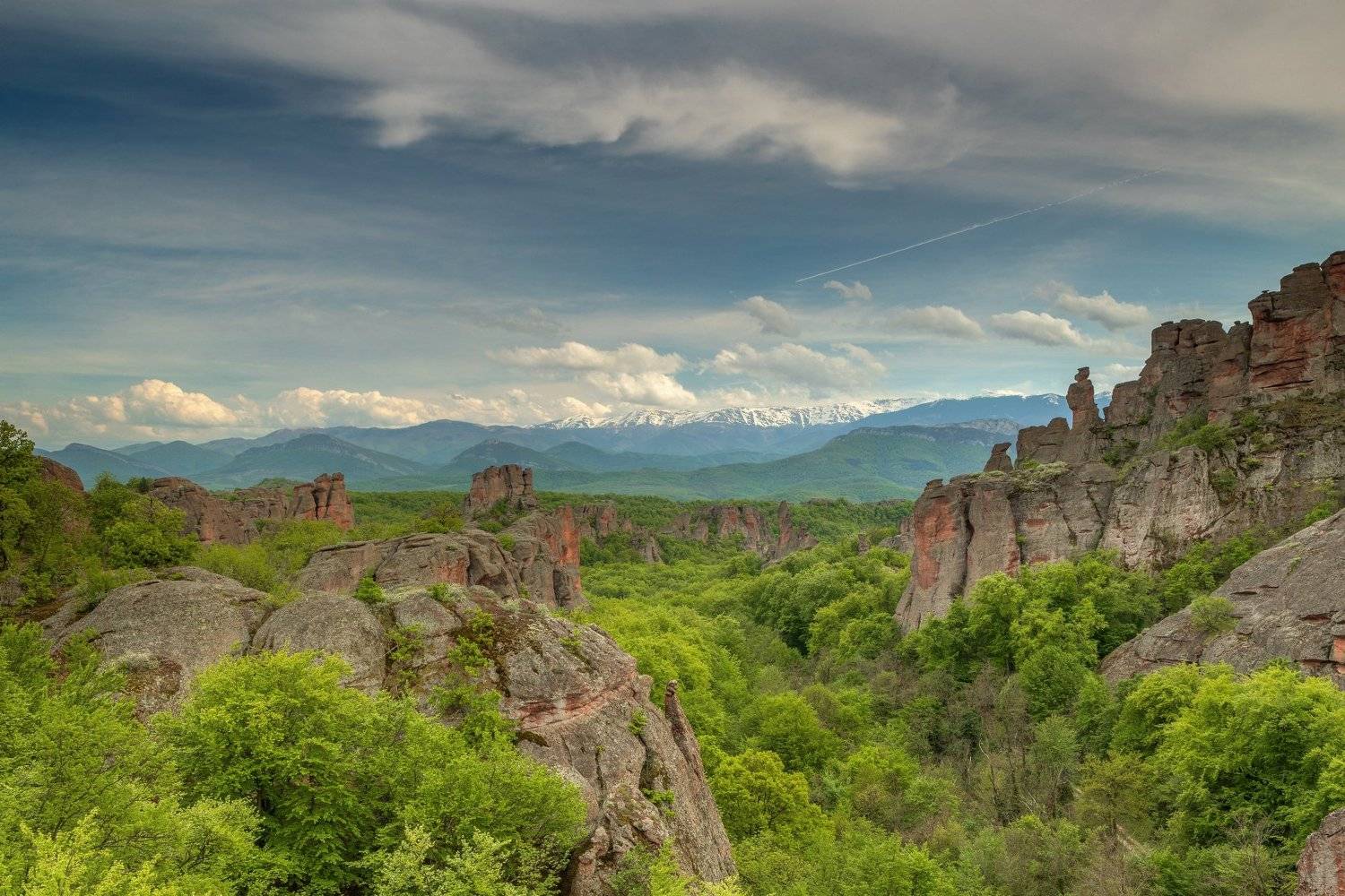 , Александър Сандев