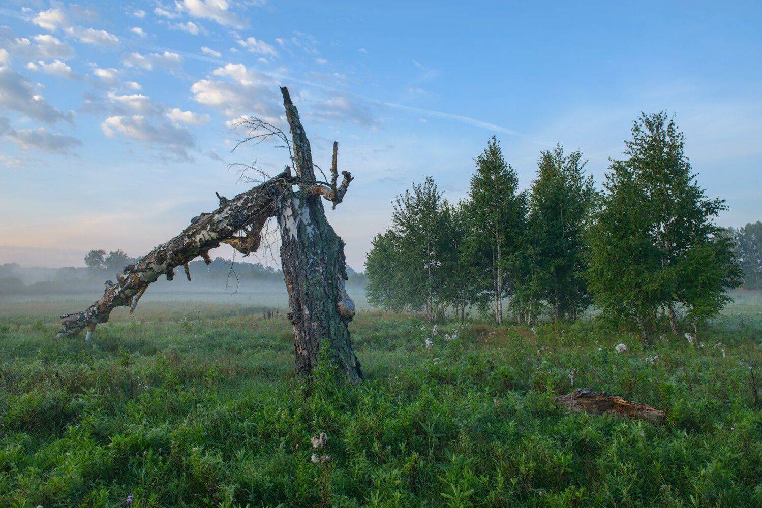 , Кутыгин Эдуард