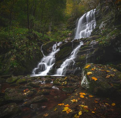 Chiprovtsi waterfall, Stara planina