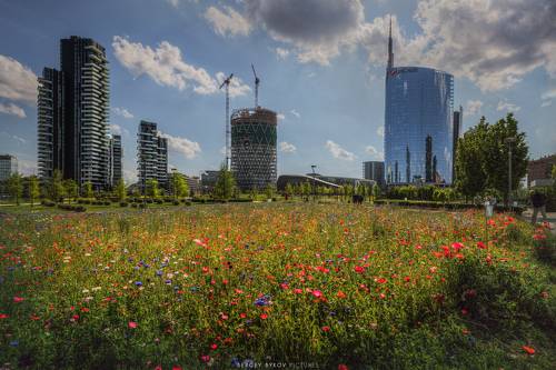Milano piazza Gae Aulenti