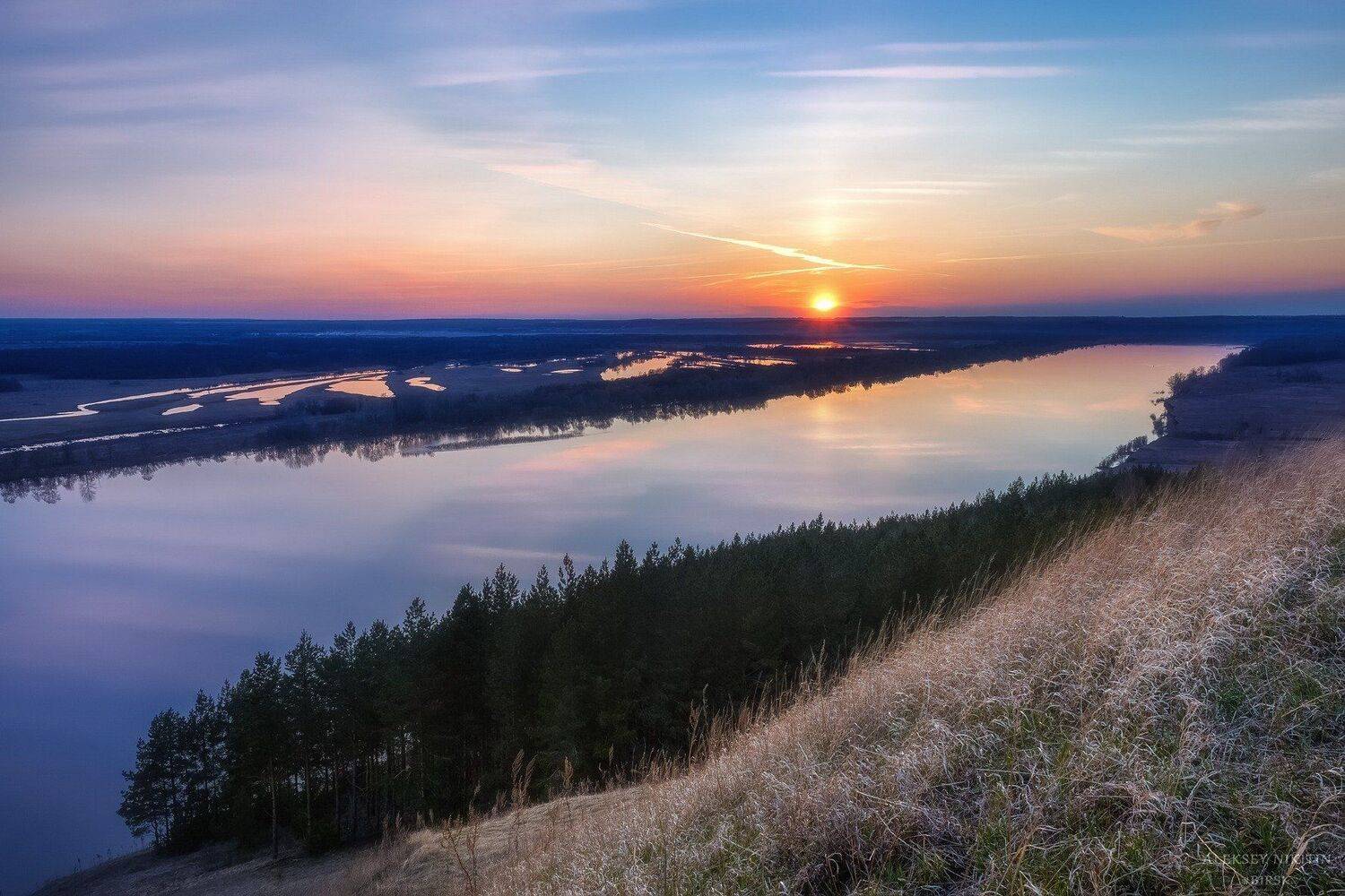 , Алексей Никитин