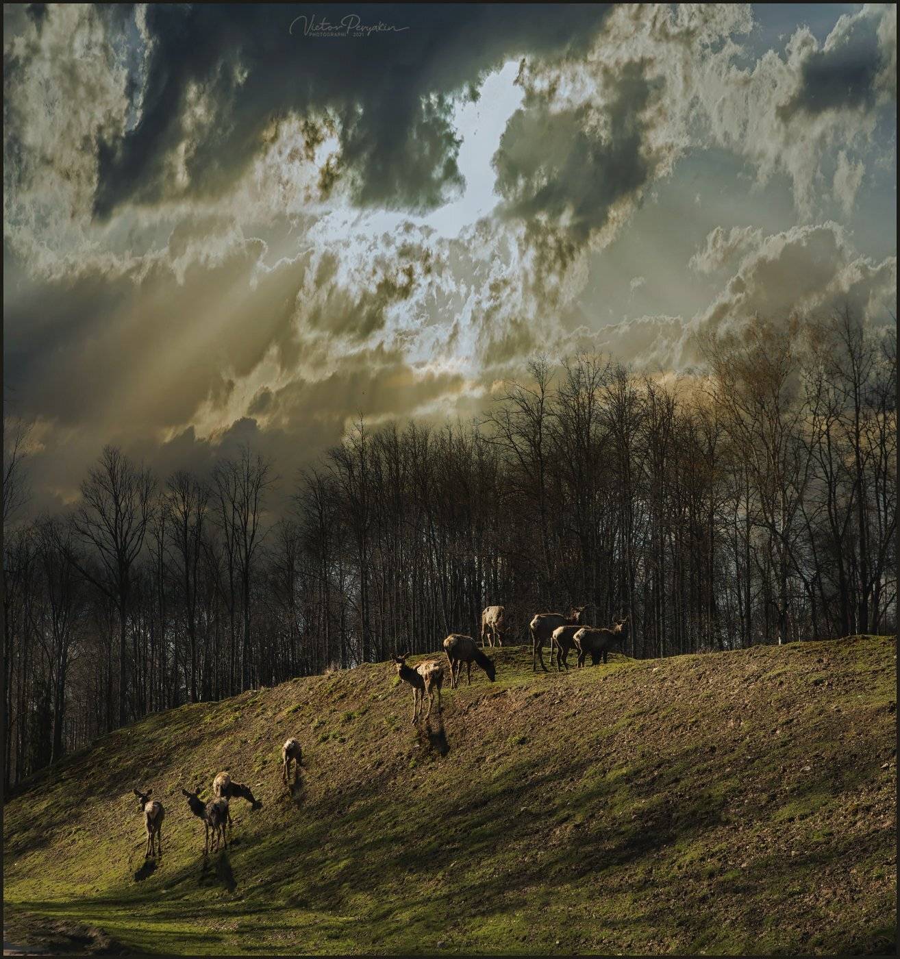 , Виктор Перякин