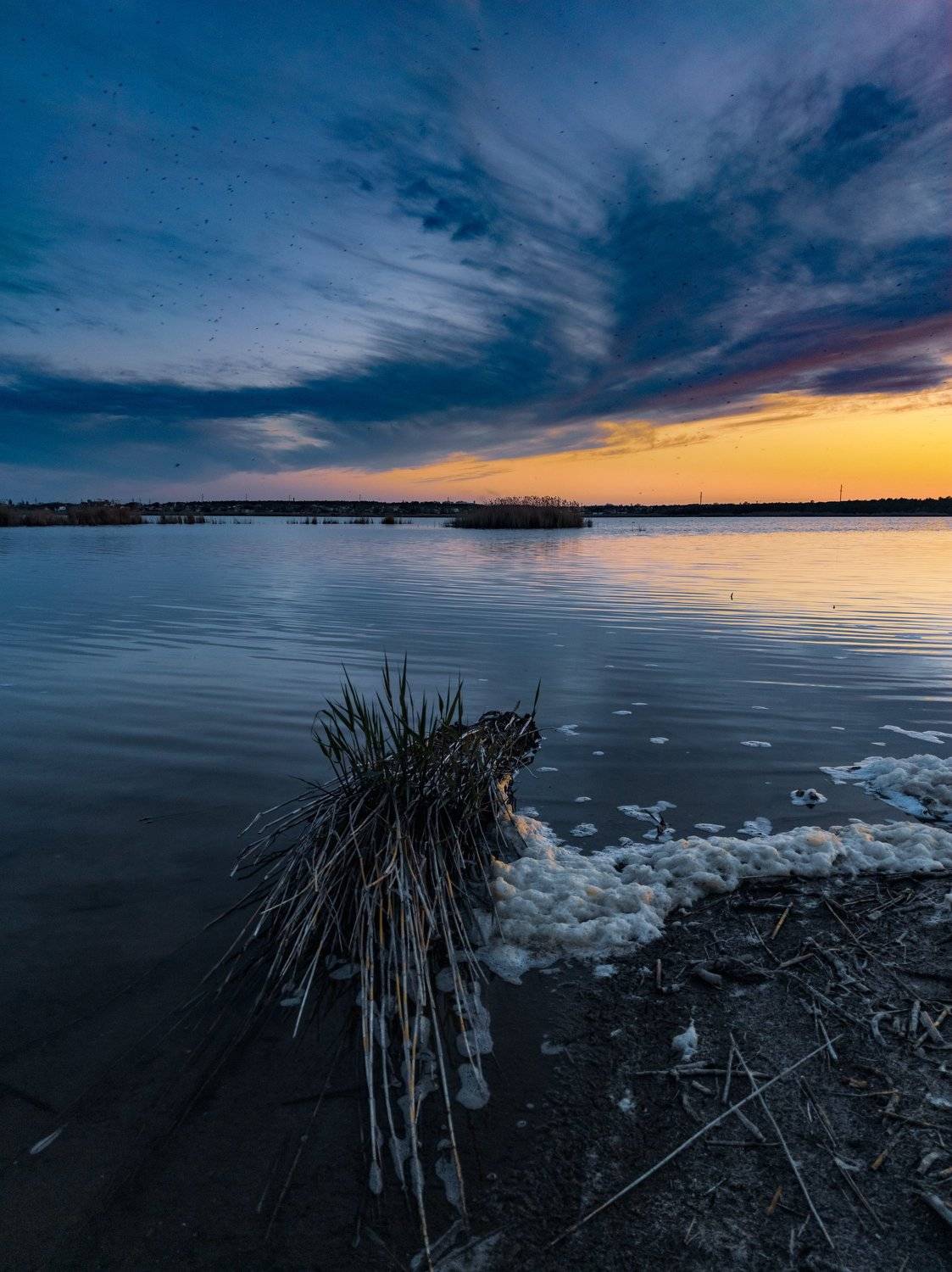 , Андрей Кривцов