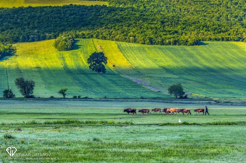AZERBAIJAN фото превью