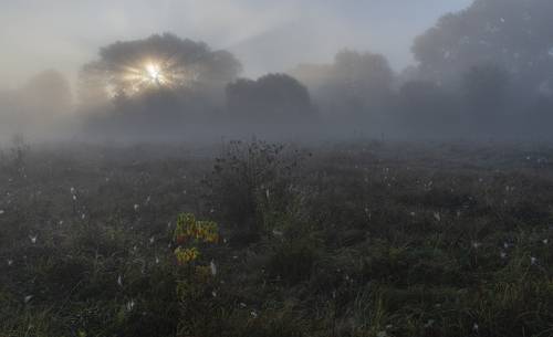 в рассветных лучах...