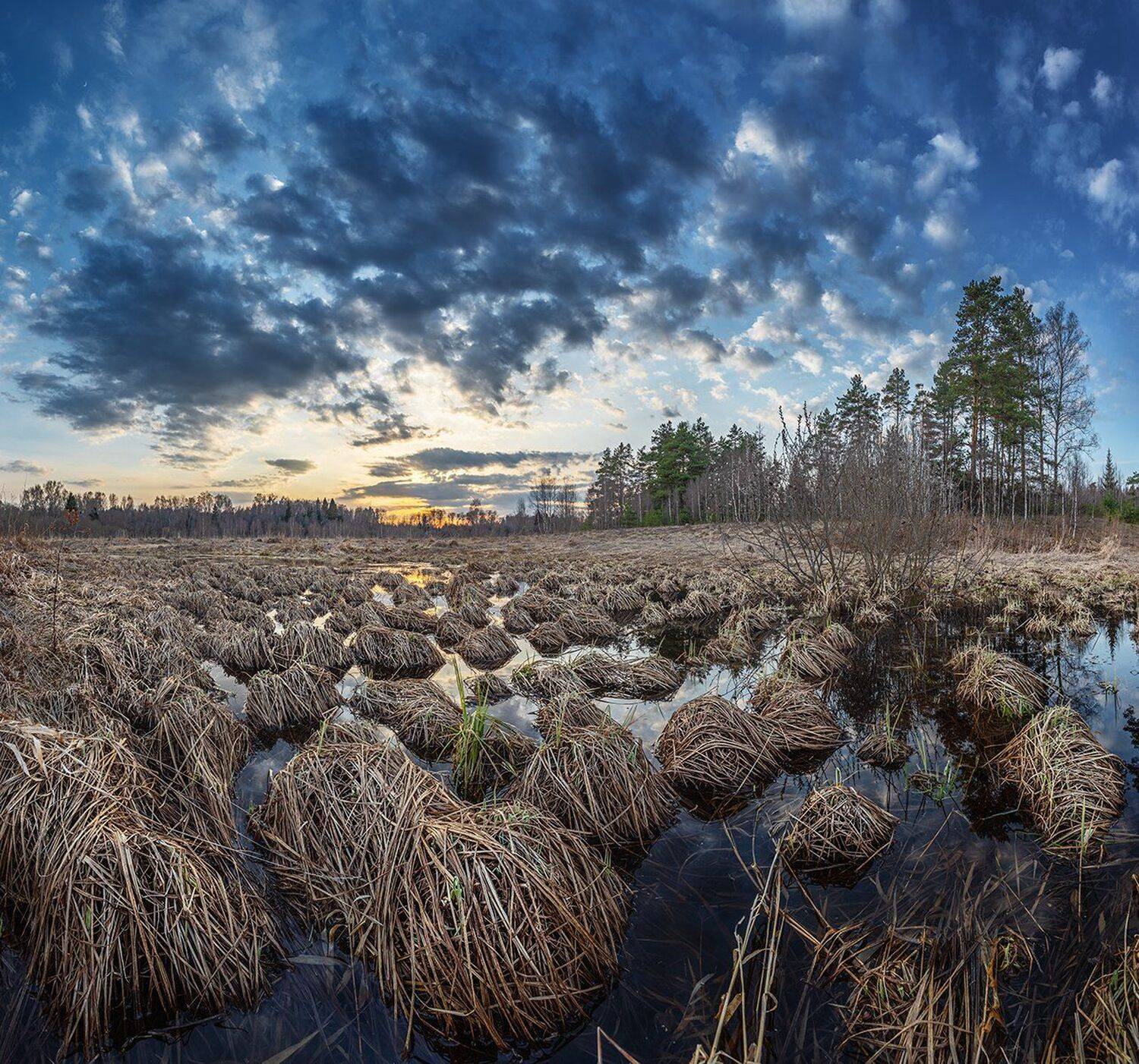, Николай Андреев