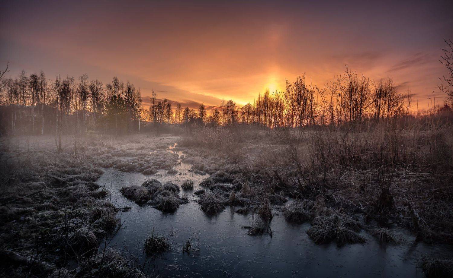 рассвет, закат, природа, болото, небо, облака, россия, ленинградская область, Ekaterina Khlebnikova