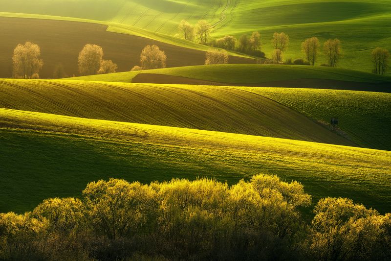 Golden Hour фото превью