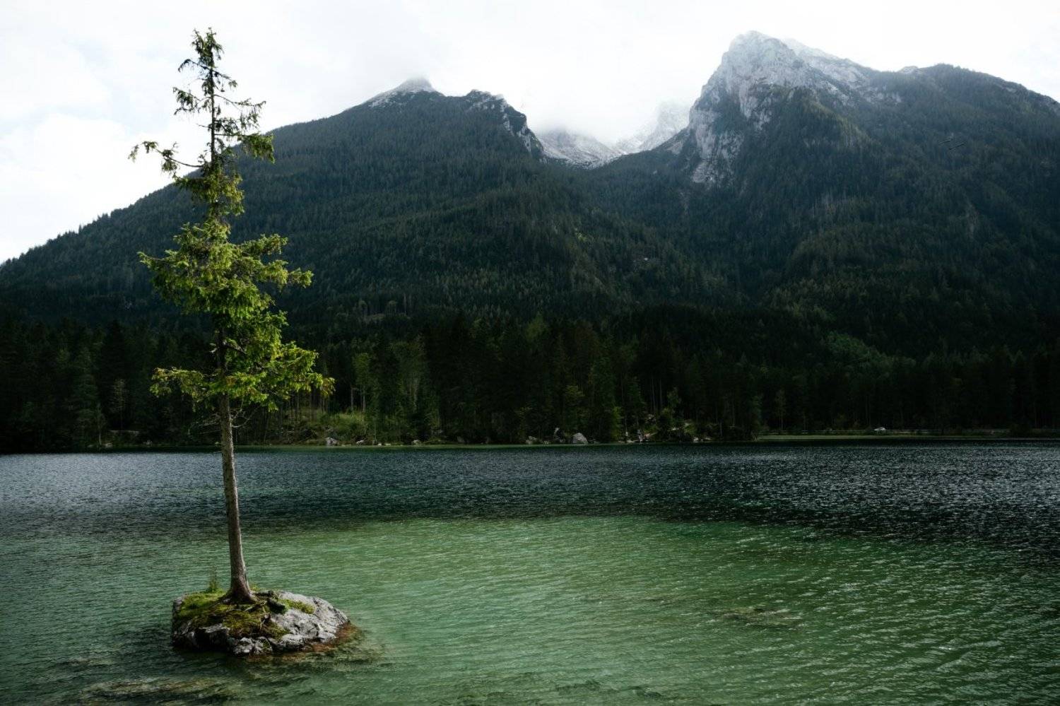 озеро; дерево; горы, Александр Удовиченко
