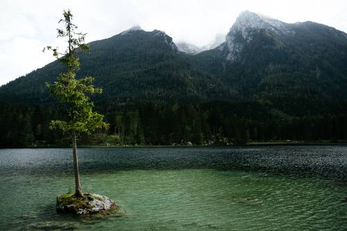 Одинок, но не сломлен