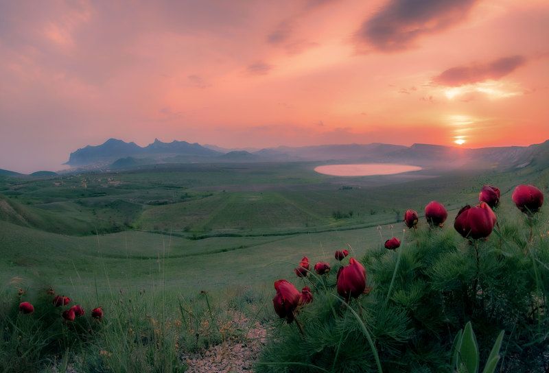 фото превью