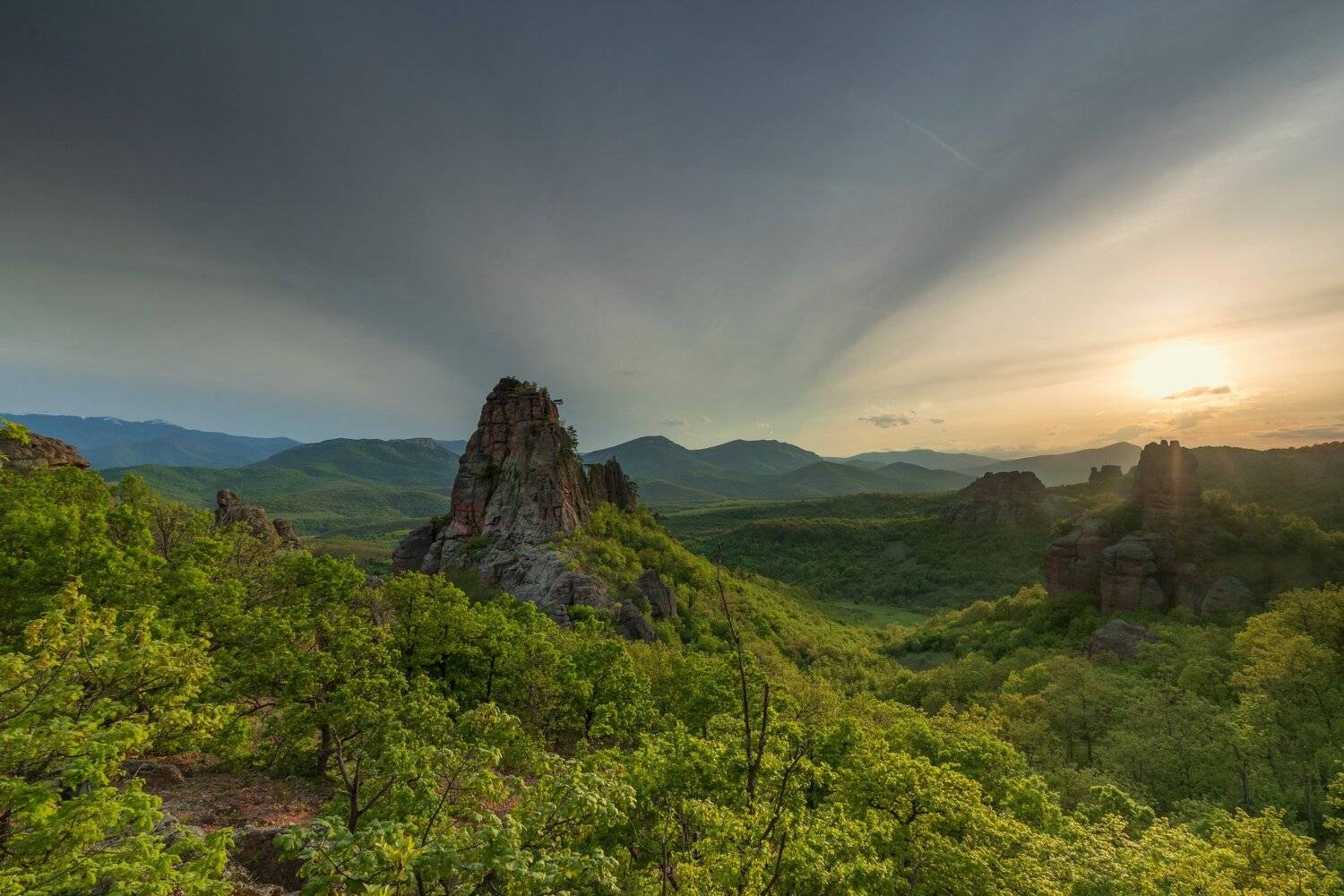 , Александър Сандев