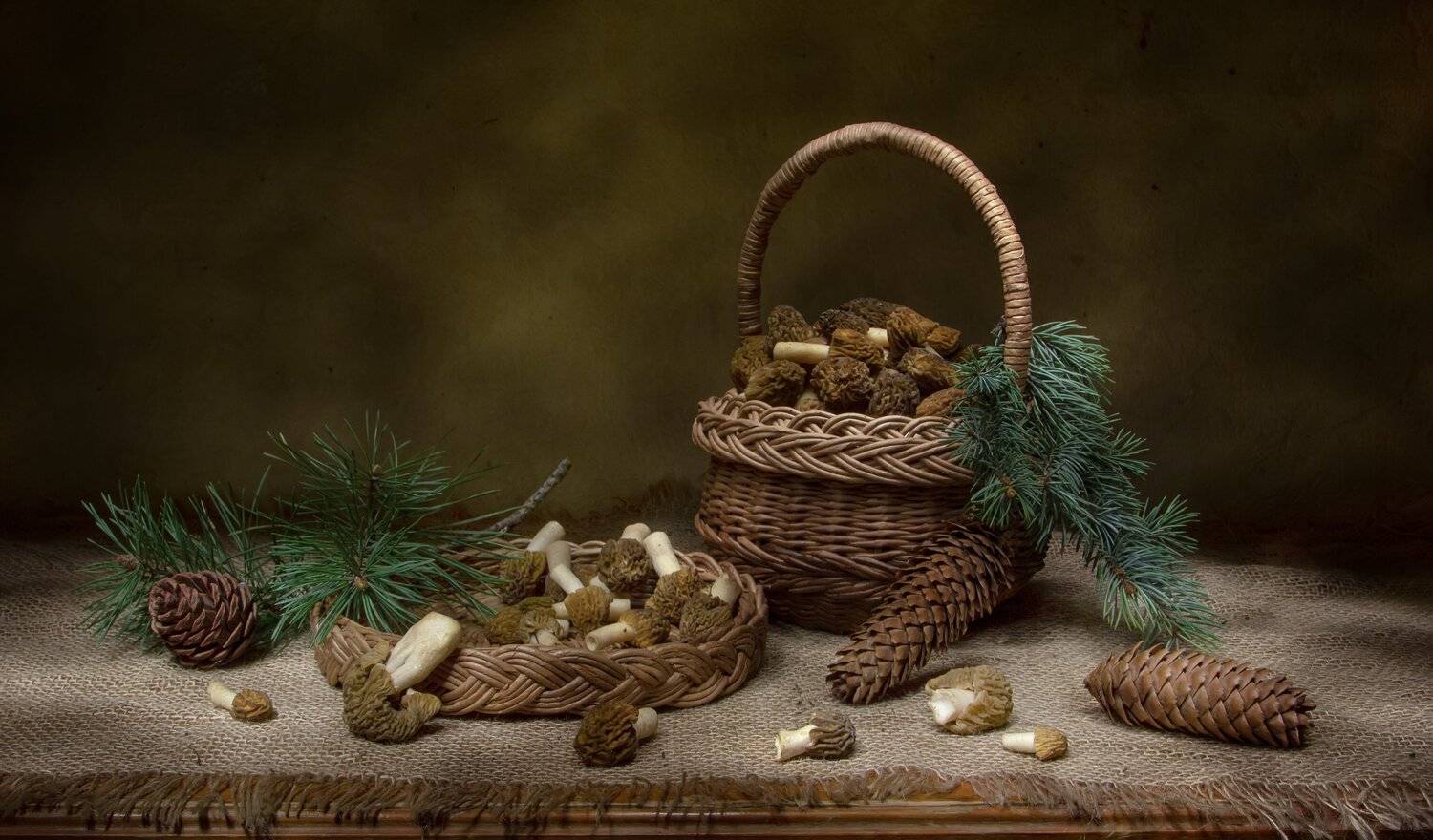 натюрморт, сторочки, ель, сосна, шишки, Татьяна Феденкова