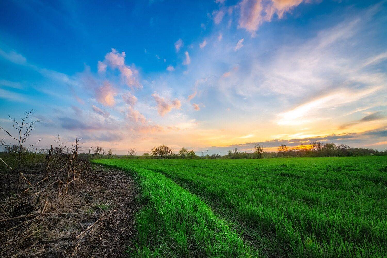 , Александр Орнатский