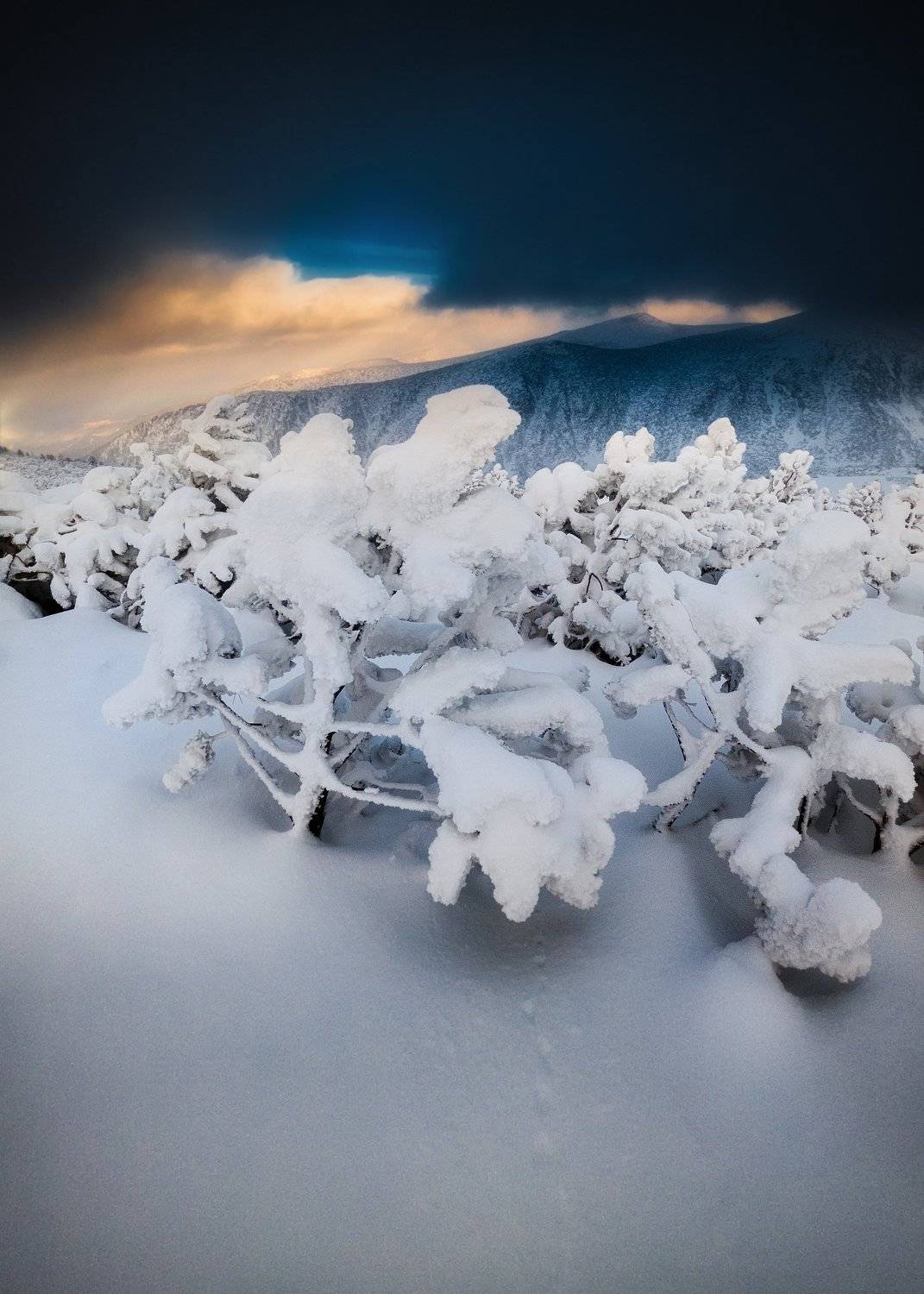 , Radoslav Sviretsov