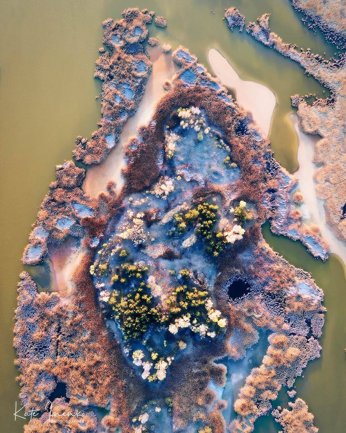 , Екатерина Ионенко