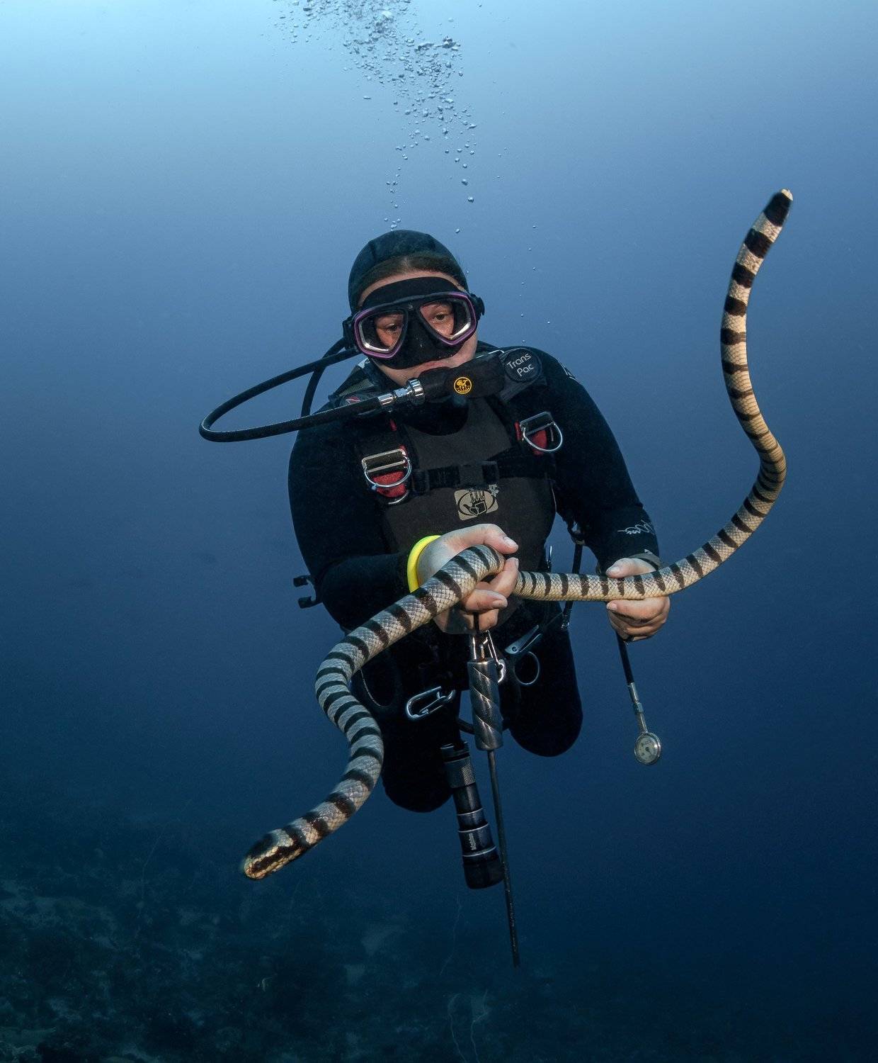 , Андрей Савин