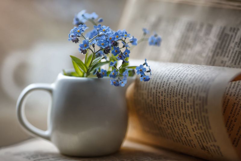 незабудки,день победы, жизнь,любимые книги, радость в каждом дне,натюрморт,юрий герман дорогой мой человек,ирина горюкина «Как все правильно, так и должно быть.»Ю.Герман фото превью