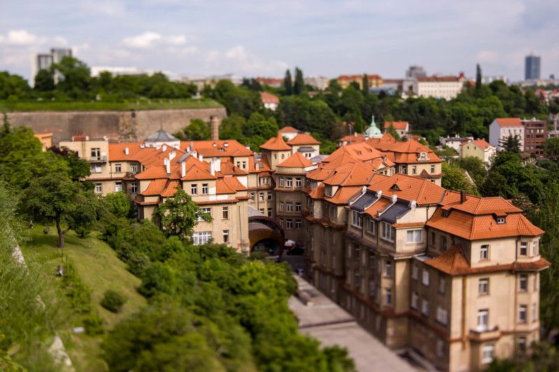 cityscape, пейзаж, архитектура Крыши старой Праги фото превью