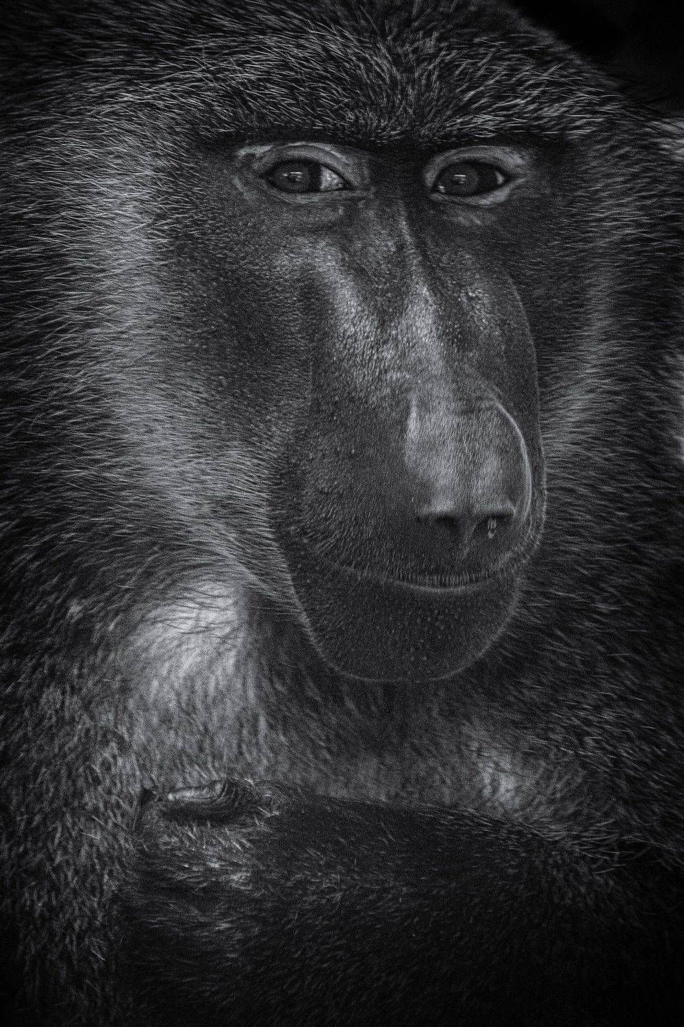 , Юрий Пужалин