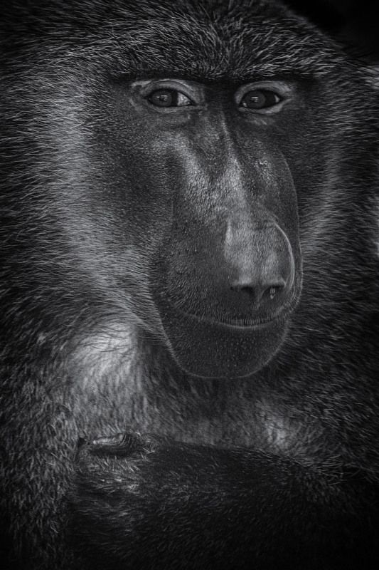 *** фото превью