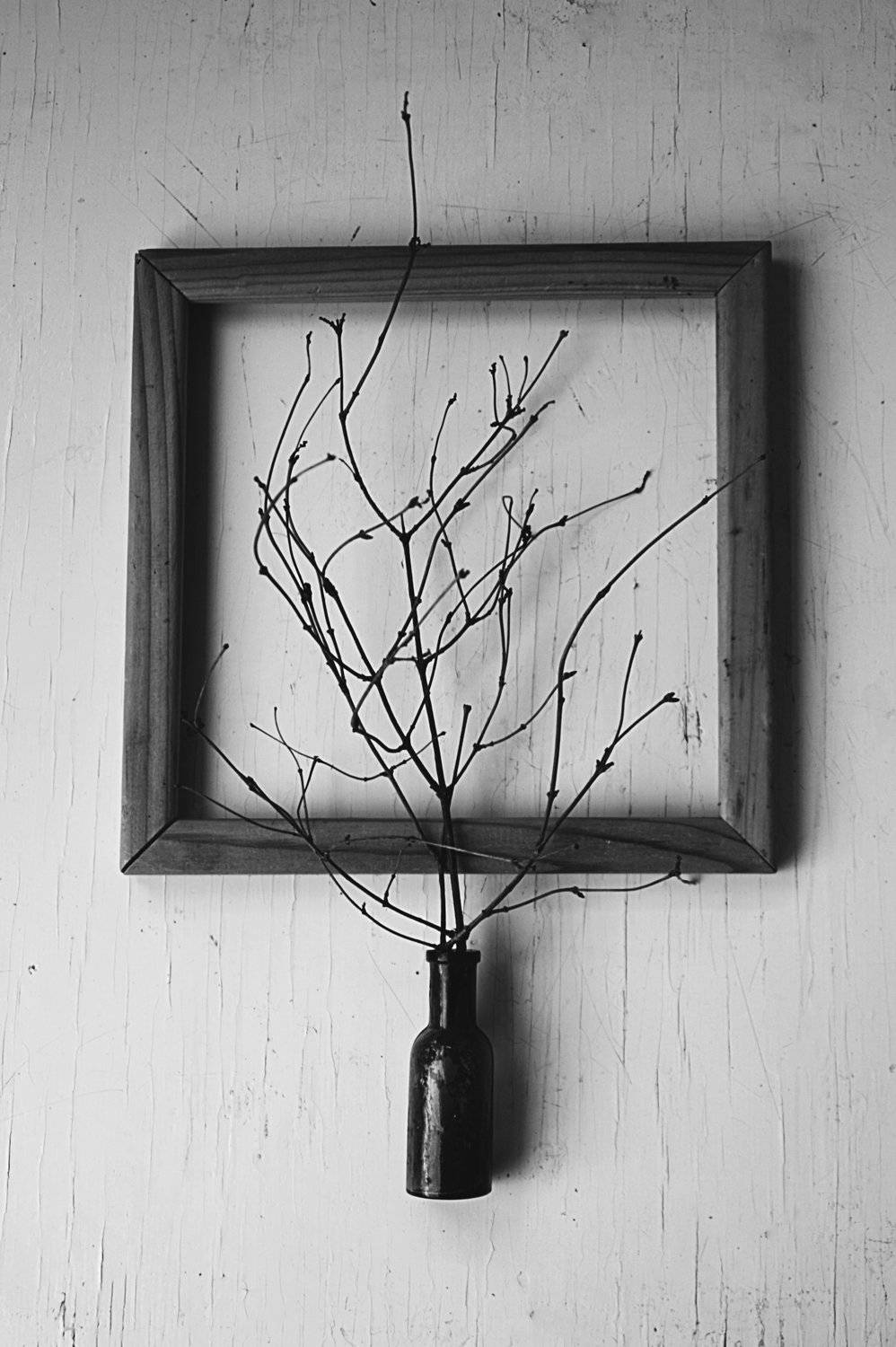 натюрморт, минимализм, Ольга Алексейчик