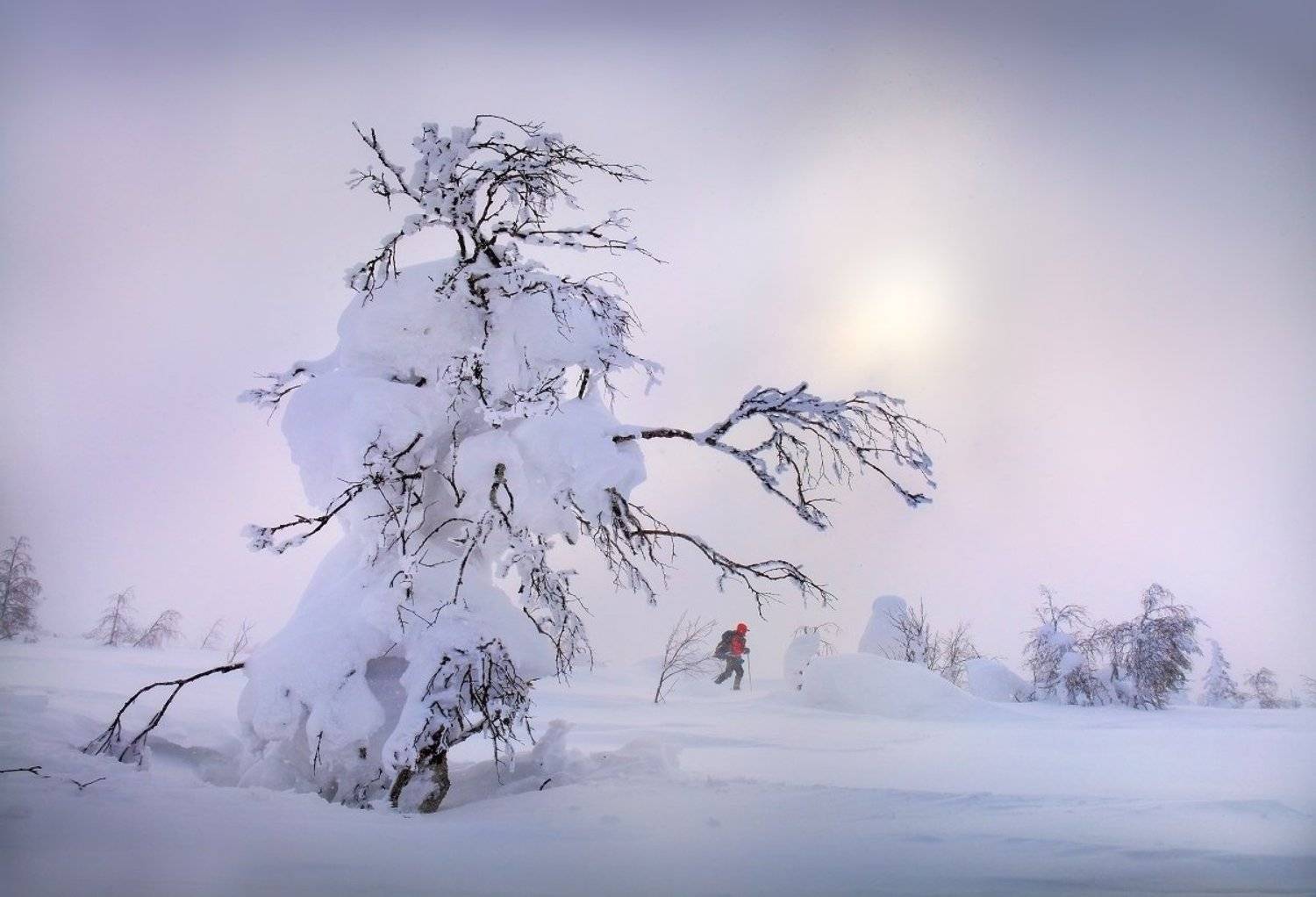 , Сергей Макурин