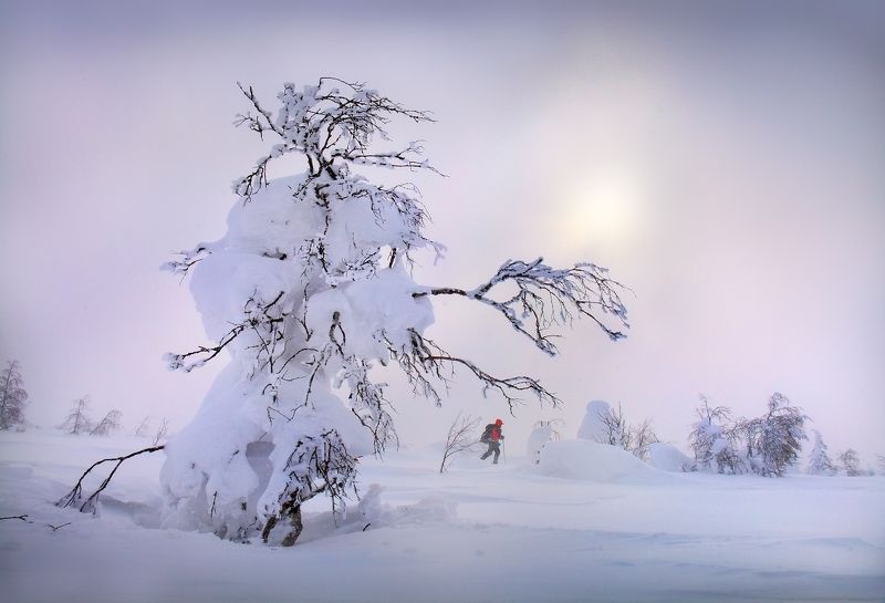 Куда ты денешься!.. фото превью