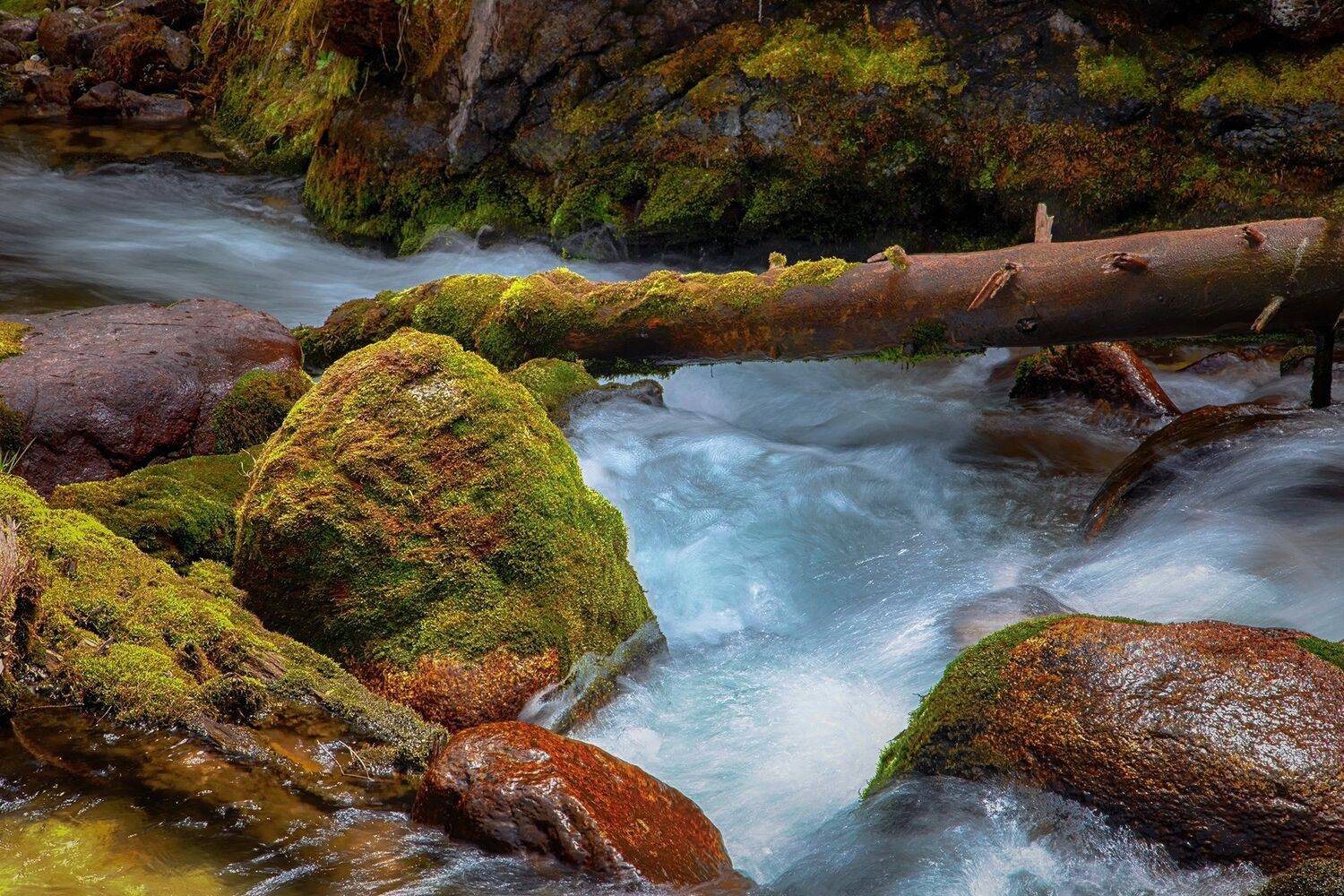 кыргызстан, горы, Элина Магалимова