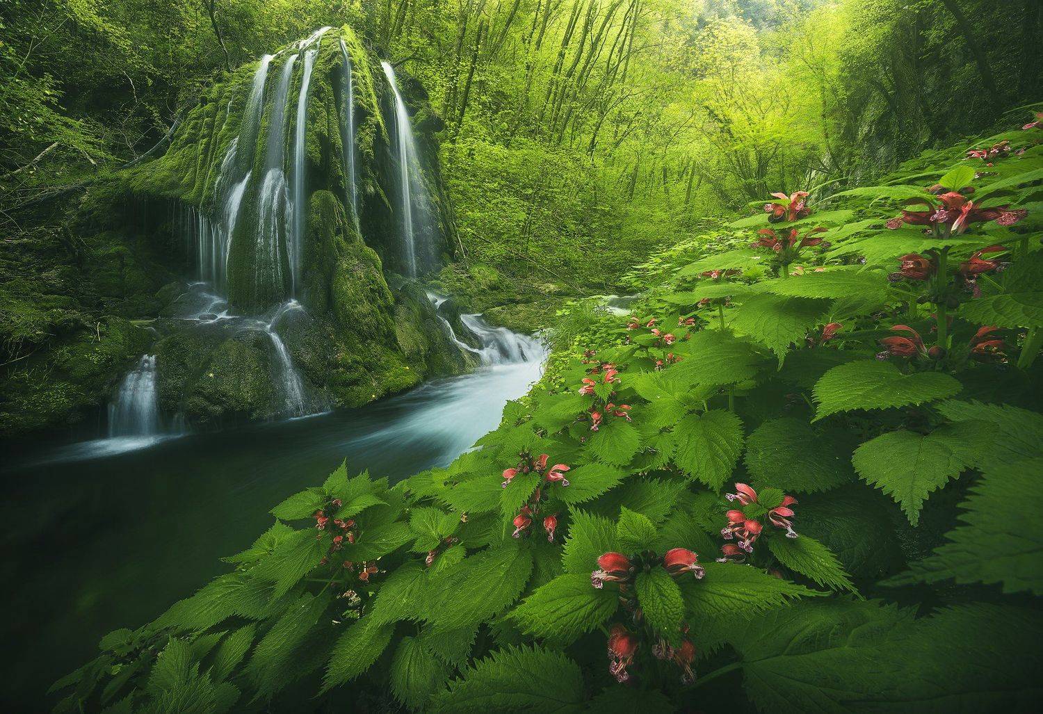 #landscape #mountains #italy #forest #waterfall, Roksolyana Hilevych