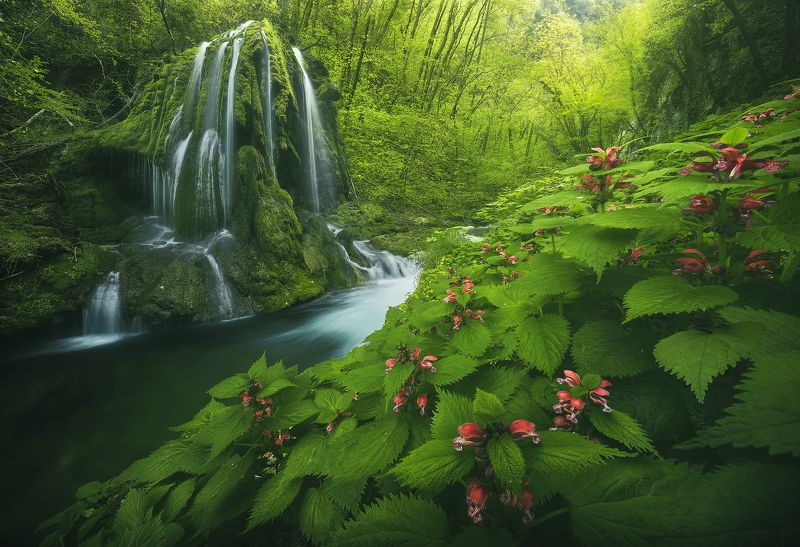 #landscape #mountains #italy #forest #waterfall Spring explosion фото превью