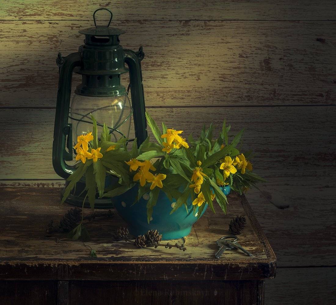 кострома,натюрморт, Елена Рубинская